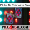 Pilules De Rhinocéros Bleu 15
